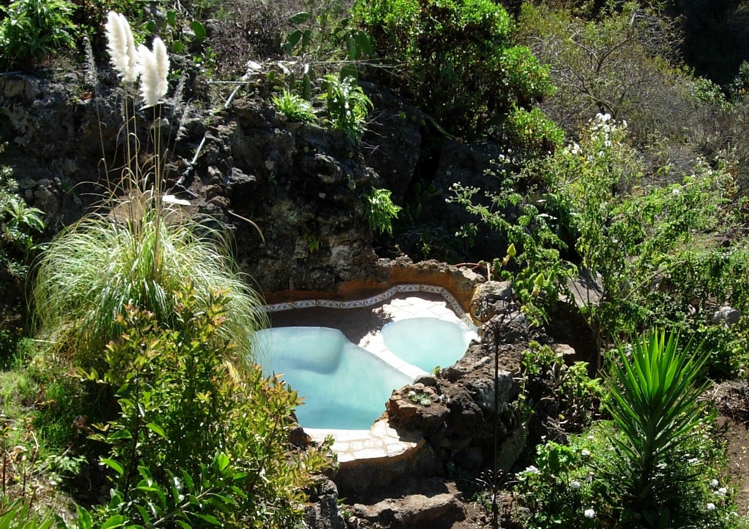 Wellness-Pool.jpg